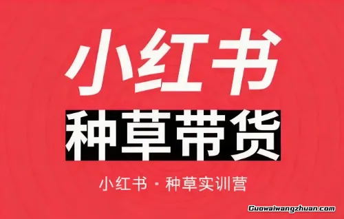 小红书种草带货0-1实战营：笔记生产/达人对接/付费投放/高效运营打法