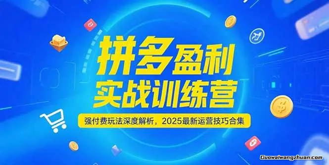 拼多多盈利实战训练营，强付费玩法深度解析，2025最新运营技巧合集