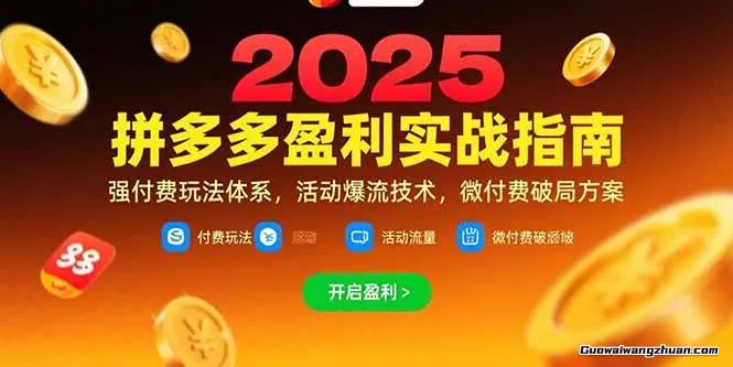 拼多多盈利实战指南，强付费玩法，活动爆流技术，微付费破局方案