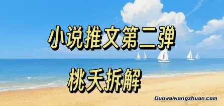 小说推文项目操作全流程第二弹，0粉就能做，门槛低非常适合新手