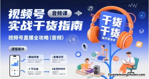 视频号实战干货指南，视频号直播全攻略（音频课）
