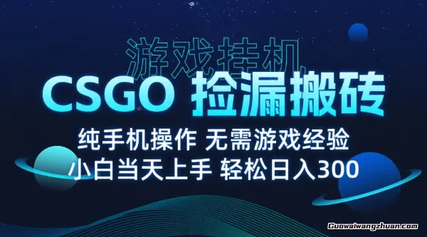 CSGO纯挂鸡游戏搬砖，不需要玩游戏，实现真挂鸡，月入1W+