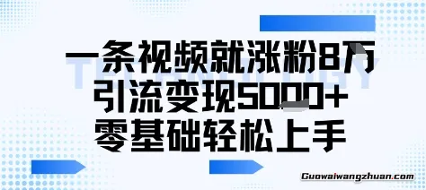 一条视频就涨粉8W，引流变现5k+，0基础项目轻松上手
