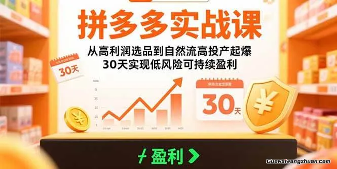 拼多多实战课：从高利润选品到自然流高投产起爆，30天实现低风险可持续盈利