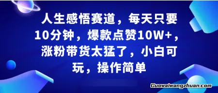 人生感悟赛道，每天只要十分钟，爆款点赞10W+，涨粉带货太猛了，小白可玩，操作简单