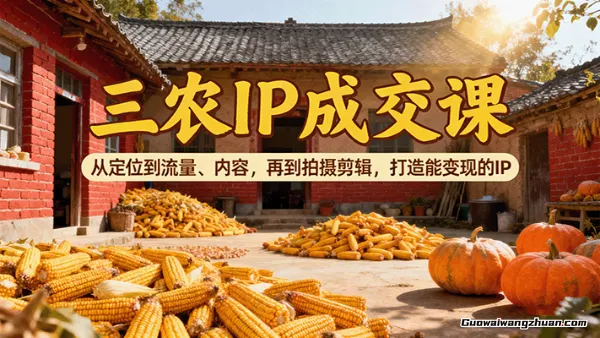 三农IP成交课：从定位到流量、内容，再到拍摄剪辑，打造能变现的IP