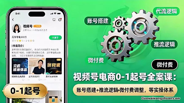 视频号电商起号全案课，0到1微付费自然流起号，账号搭建+推流逻辑+微付费调整等实操体系