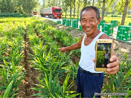农村搞钱新路子：这些接地气的项目，真有人靠它翻了身！