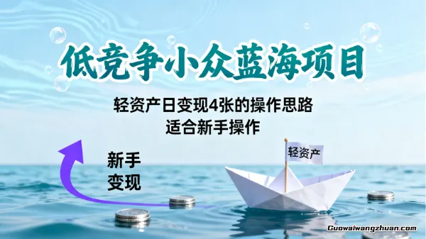 低竞争小众蓝海项目，轻资产日变现4张的操作思路，适合新手操作
