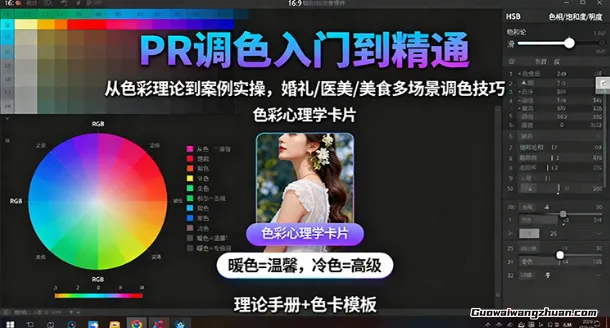 PR调色入门到精通：从色彩理论到案例实操，婚礼/医美/美食多场景调色技巧