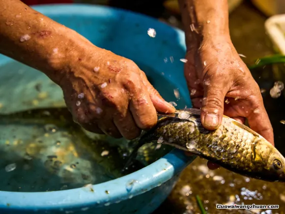 凌晨三点的菜市场，藏着卖鱼人不想告诉你的秘密