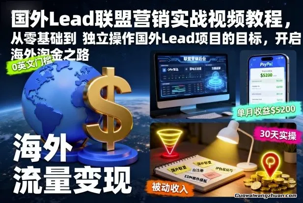 国外Lead联盟营销实战视频教程,从零基础到独立操作国外Lead项目,开启海外淘金之路
