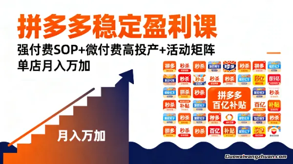 拼多多稳定盈利课,强付费SOP+微付费高投产+活动矩阵,单店月入万加