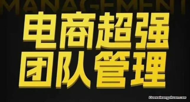 电商超强团队管理,组织绩效,到用人执行,分权合伙