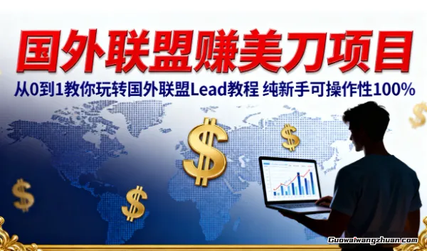 国外联盟賺美刀项目，从0到1教你玩转国外联盟Lead教程，纯新手可操作性100%