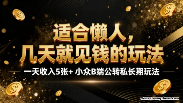 适合懒人，几天就见钱的玩法，一天收入5张+，小众B端公转私长期玩法