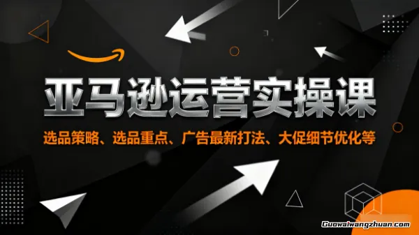 亚马逊运营实操课，选品策略，选品重点、广告最新打法、大促细节优化等