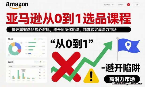 亚马逊从0到1选品课程，快速掌握选品核心逻辑，避开同质化陷阱，精准锁定高潜力市场