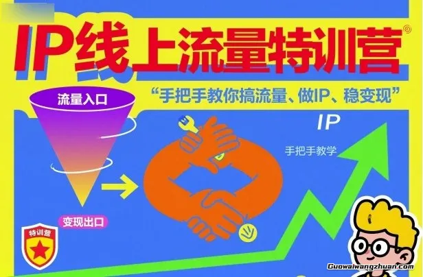 IP线上流量特训营，手把手教你搞流量、做IP、稳变现