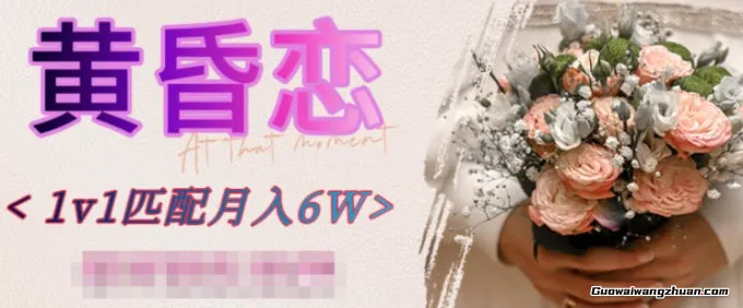 黄昏恋1对1匹配月入6个，市场刚需，前景广阔，潜力巨大