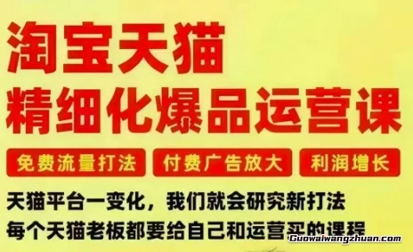 淘宝天猫精细化爆品运营课，免费流量打法-付费广告放大-利润增长-三大核心痛点，一次全部解决