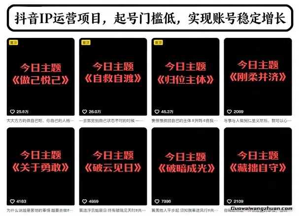 抖音IP运营项目，抖音今日主题玩法，起号门槛低，实现账号稳定增长