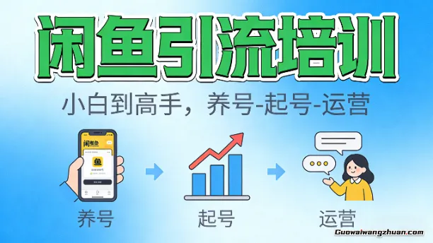 闲鱼引流培训，独家起号法从小白到高手，养号-起号-运营