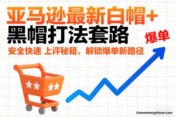 亚马逊白帽+黑帽打法套路，安全快速上评秘籍，解锁爆单新路径