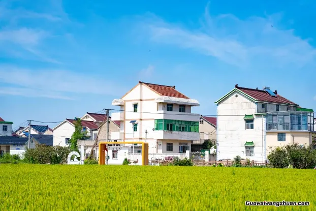 农村堂屋布置全攻略：从禁忌到现代美学，手把手教你打造人气聚集地