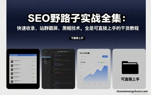 SEO野路子实战全集：快速收录、站群霸屏、黑帽技术，全是可直接上手的干货教程