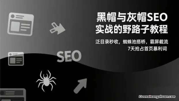 SEO野路子实战全集：快速收录、站群霸屏、黑帽技术，全是可直接上手的干货教程