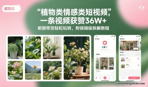 植物类情感类短视频，一条视频获赞36W+，橱窗带货轻松玩转，附保姆级拆解教程