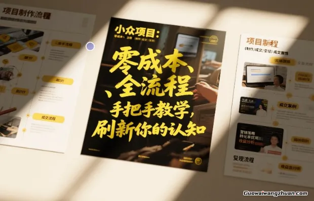 小众项目：低成本、全流程（制作-成交-变现）手把手教学，刷新你的认知