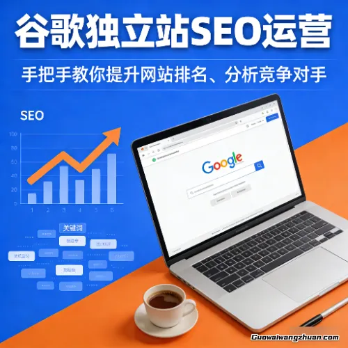 谷歌独立站SEO运营，手把手教你提升网站排名、分析竞争对手