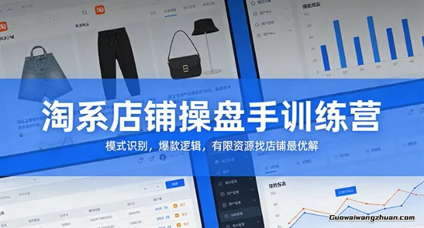 淘系店铺操盘手训练营：模式识别，爆款逻辑，有限资源找店铺妙解