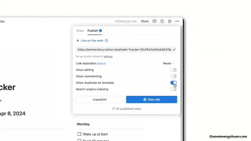 低成本创业售卖Notion模板月入10万！Starter Story创业案例