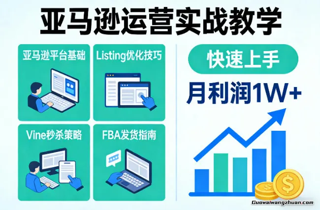 亚马逊运营实战教学，亚马逊平台+Listing优化+Vine秒杀+FBA发货等，快速上手，实现店铺月利润1W