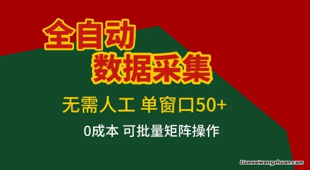 全自动数据采集项目，无需人工，单窗口可达50+收益，操作简单无难度，一个人也能轻松实现矩阵【揭秘】