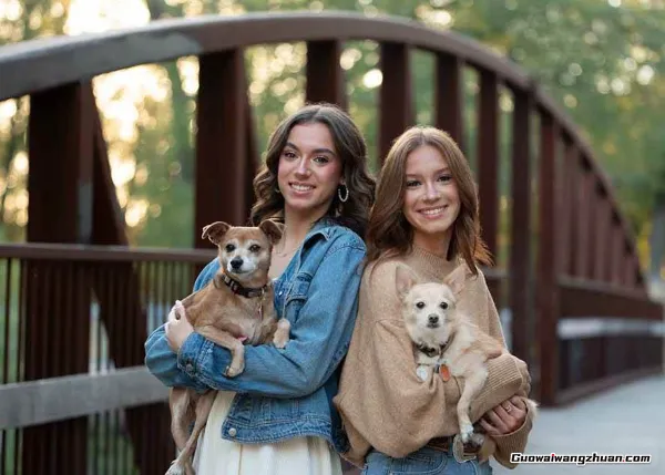 殿堂级GTG出品-老友记系列AI自适应预设The Friends Preset Collection