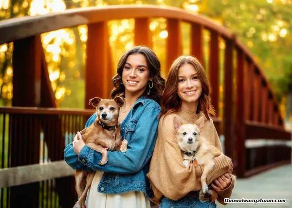 殿堂级GTG出品-老友记系列AI自适应预设The Friends Preset Collection