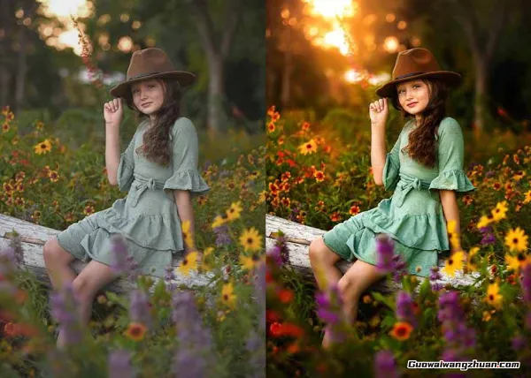 殿堂级GTG出品-老友记系列AI自适应预设The Friends Preset Collection