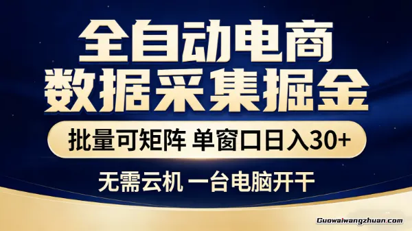 全自动电商数据采集掘金，批量可矩阵，单窗口轻松日收30+