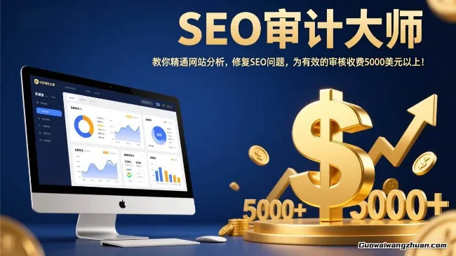 SEO审计大师：教你精通网站分析，修复SEO问题，为有效的审核收费5000美元以上！