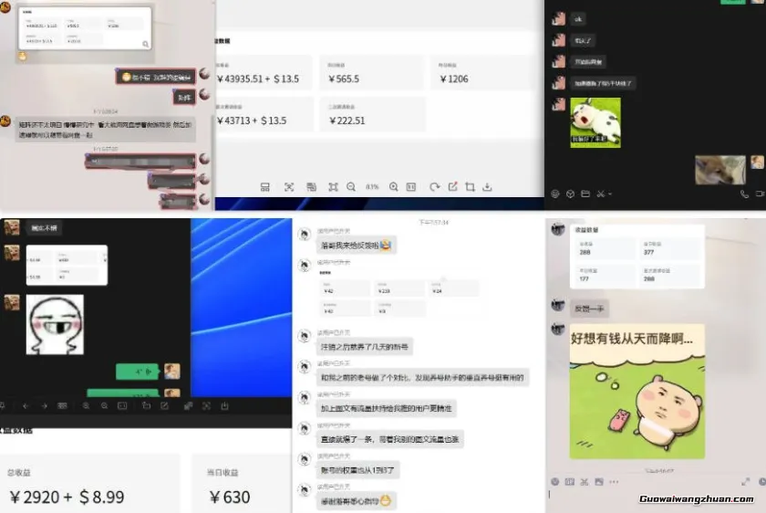雷神加速器项目模拟器，无脑1分钟1条视频矩阵，疯狂报单打法【焚诀】
