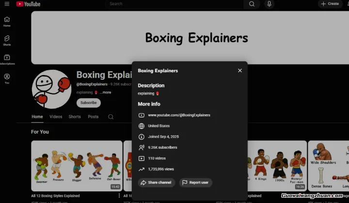 23个案例拆解：2026年YouTube细分赛道选择全攻略