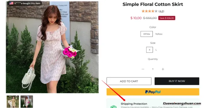 独立站最大悖论：越追求安全，越容易失败？90%卖家不懂的特货生存法则