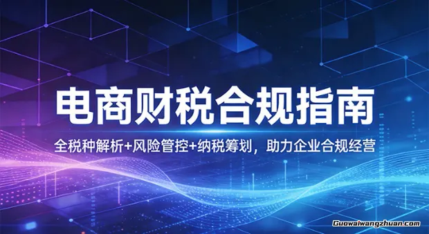 电商财税合规指南：全税种解析+风险管控+纳税筹划，助力企业合规经营
