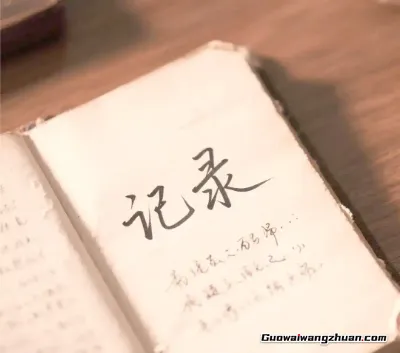 记录的力量：用36个10天周期，清晰规划并实现你的年度计划