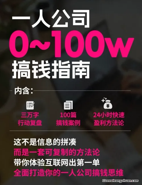 一人公司0~100w搞钱指南，100篇搞钱案例，全面打造你的一人公司搞钱思维