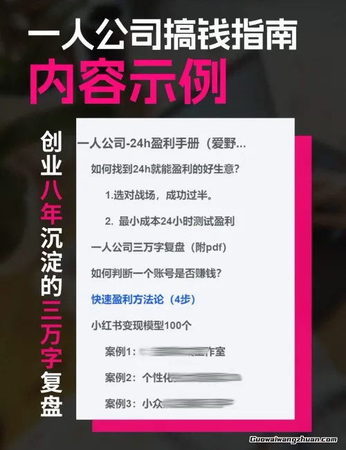 一人公司0~100w搞钱指南，100篇搞钱案例，全面打造你的一人公司搞钱思维
